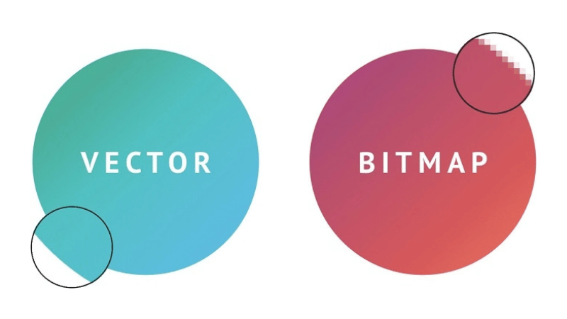Sự Khác Biệt Giữa Hình Vector Và Ảnh Bitmap