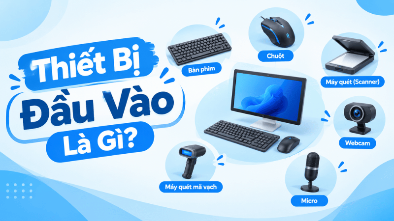 Thiết Bị Đầu Vào Là Gì?