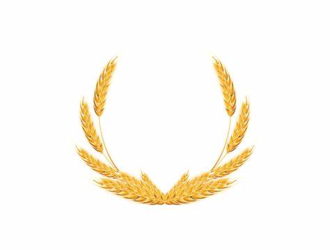 Vecto ảnh bông lúa