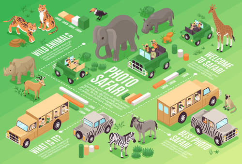 Wild animals travel vehicles vector illustration free download