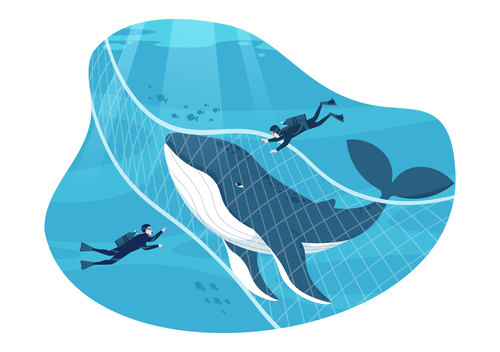Capture shark vector with fishing net free download