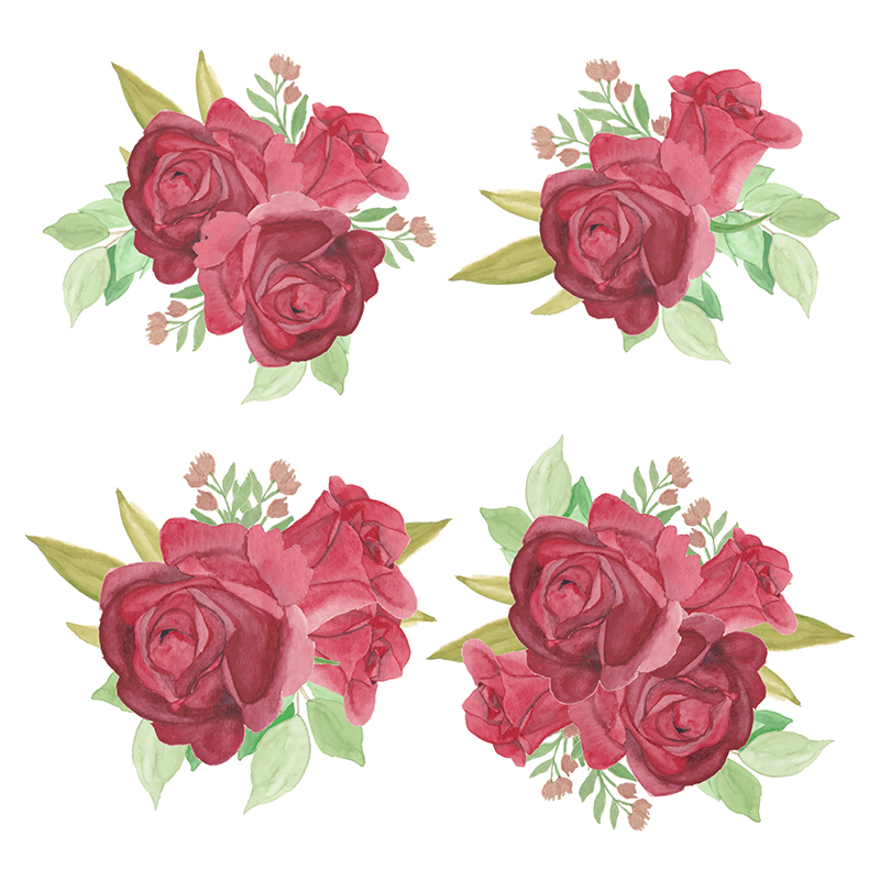 Watercolor Rose Vector  (vector hoa hồng)