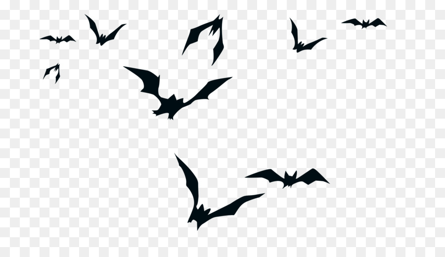 Những con dơi đen trắng trang trí hallowen