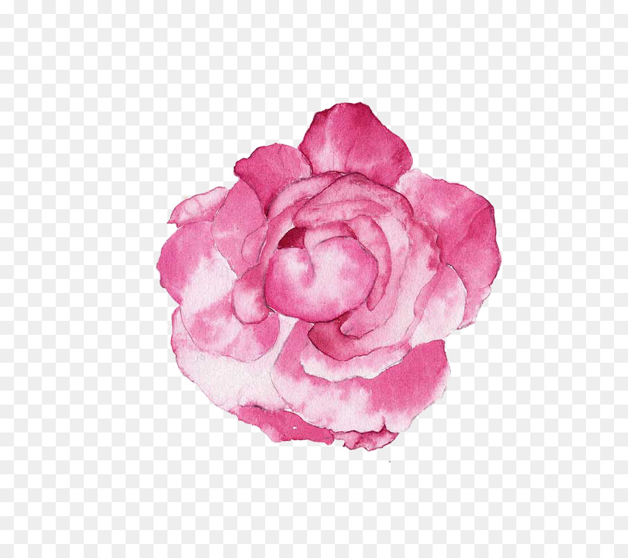 Hình png bông hoa hồng