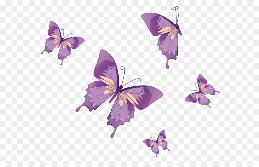 Hình png đàn bướm màu tím