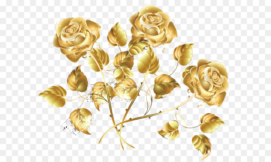 hoa hồng vàng