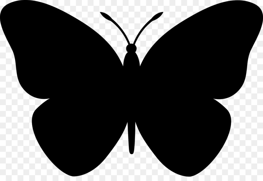 Hình png con bướm trắng đen