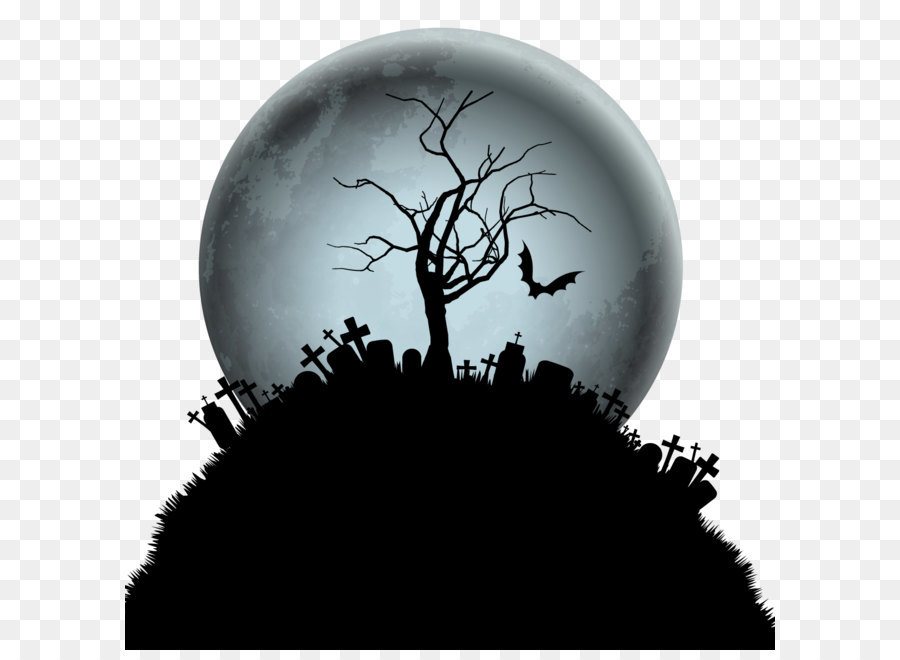 Bóng cây dưới ánh trăng