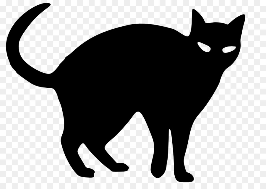 Con mèo đen với đôi mắt trắng