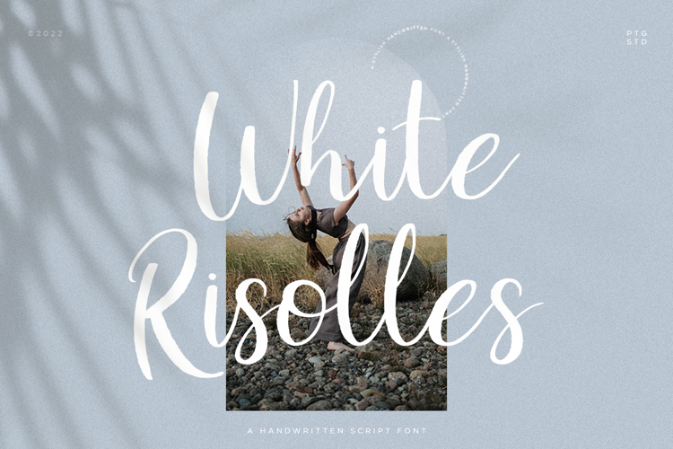 Font đám cưới white risolles