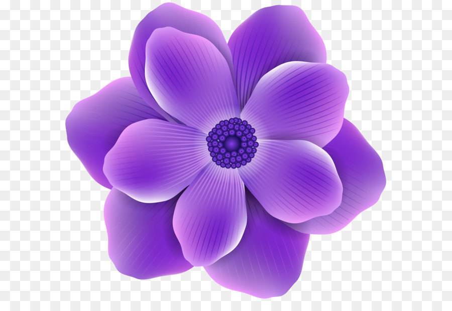 Hình png bông hoa màu tím
