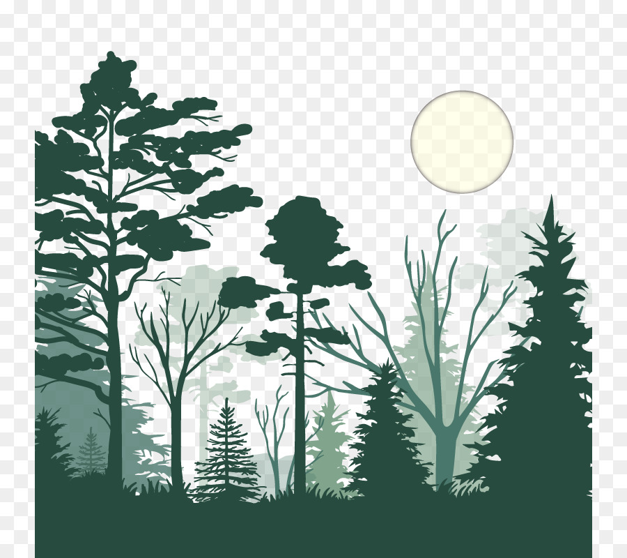 Khung cảnh rừng dưới ánh trăng