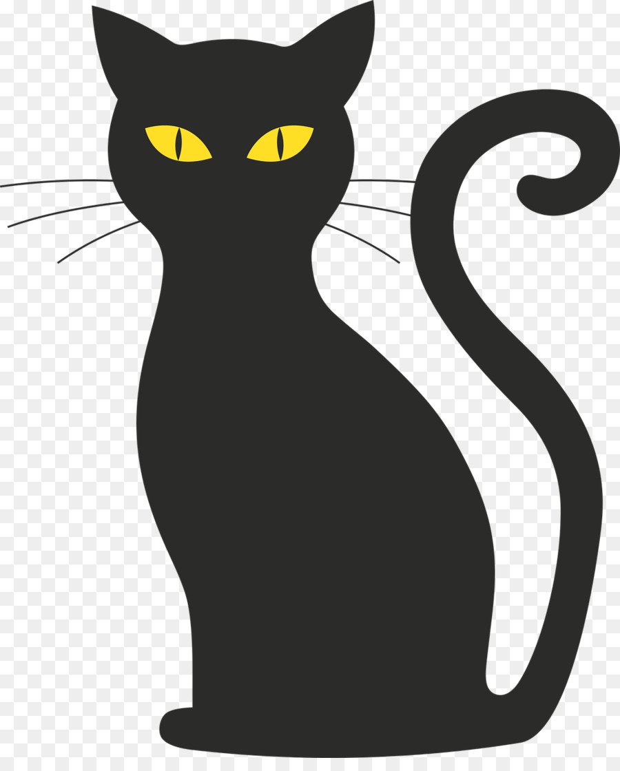 Con mèo đen có đôi mắt vàng