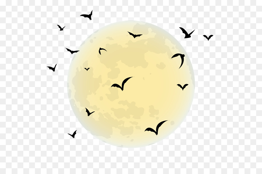 Những con dơi đen dưới ánh trăng