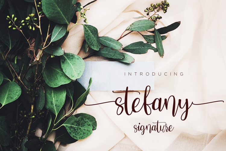 Font đám cưới stefany signature