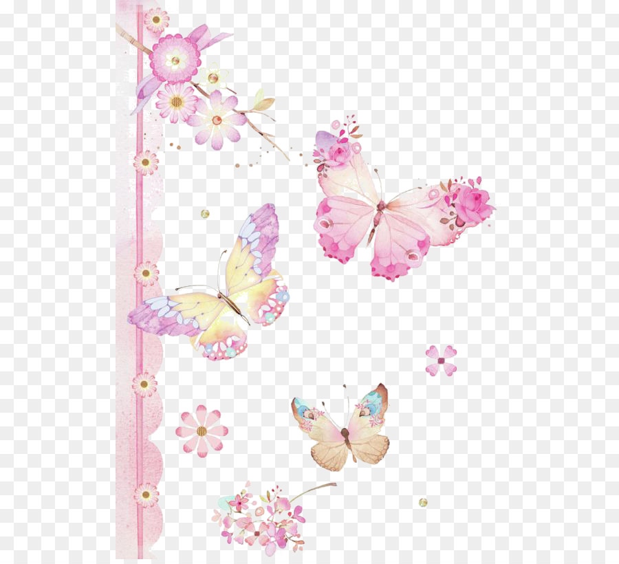 Khung hình bướm và hoa