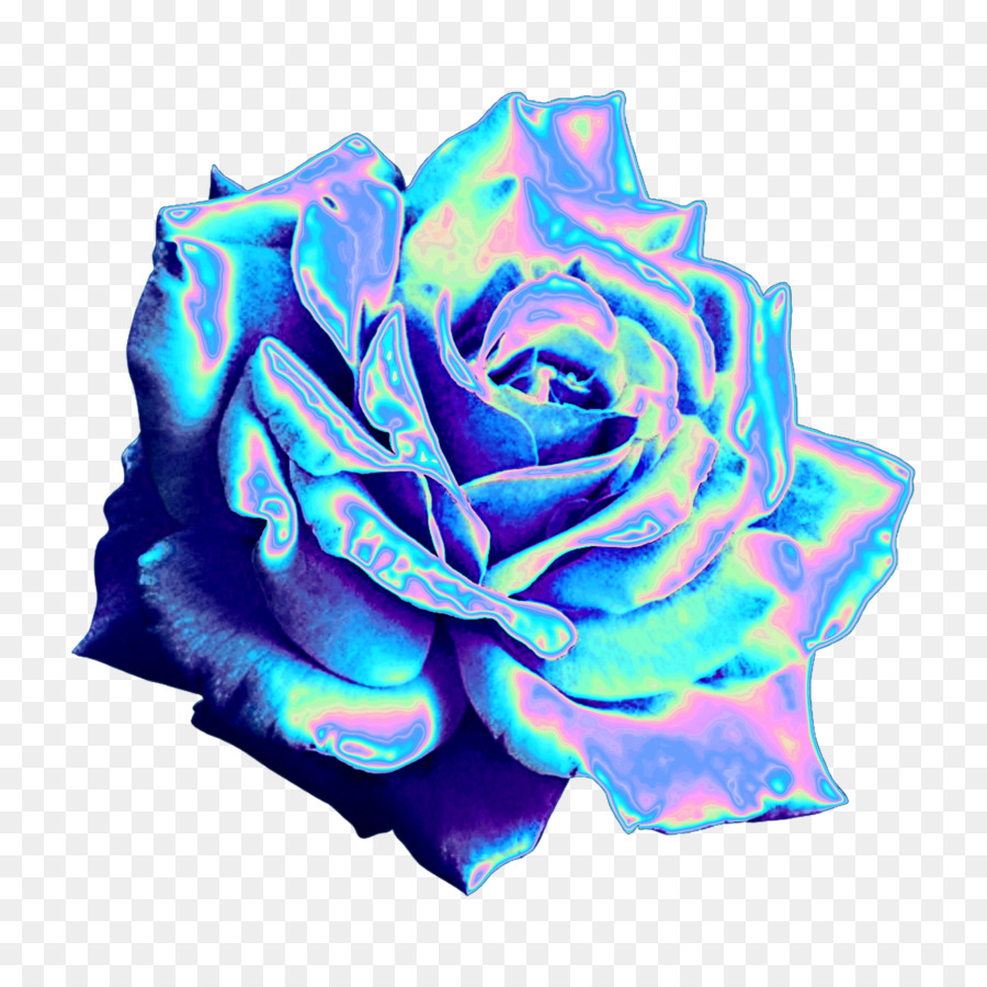 Hình png bông hồng xanh