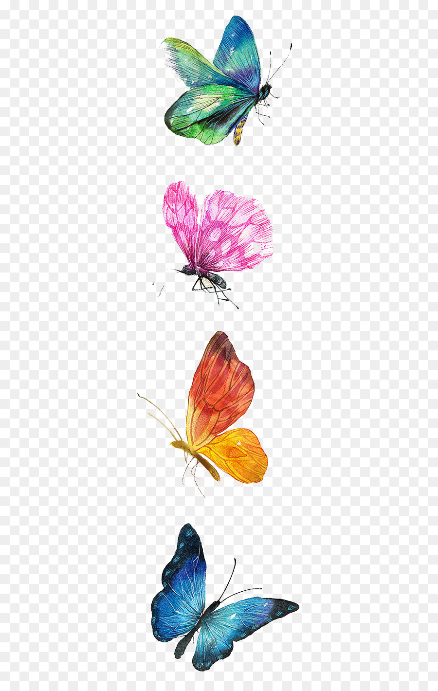 Con bướm vẽ bằng màu nước