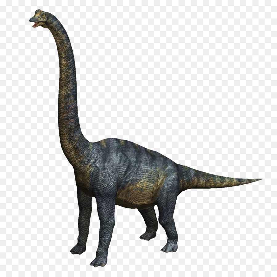 Hình png khủng long cổ dài Velociraptor