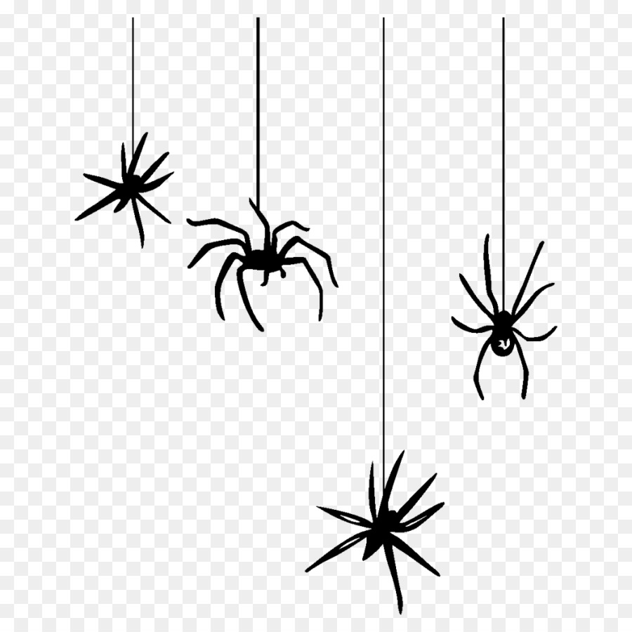 Những con nhện đu tơ