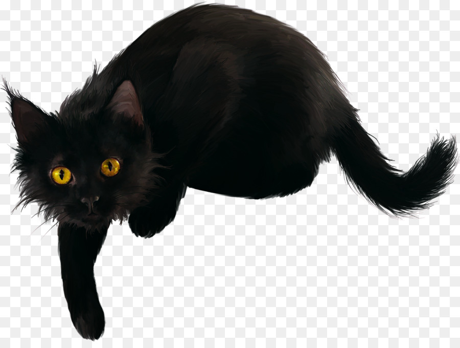 Con mèo đen đang nằm