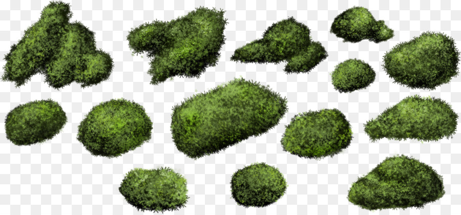 Hình png những cục rêu xanh