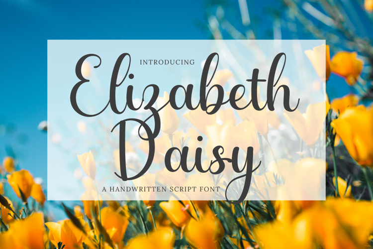 Font đám cưới elizabeth daisy