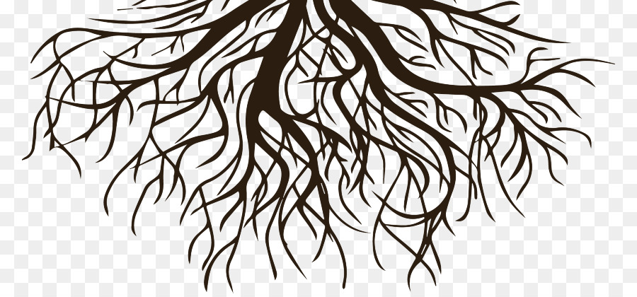 Hình png rễ cây màu đen