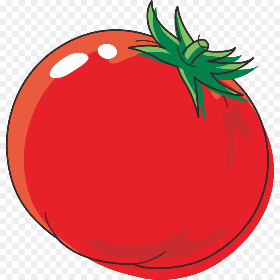 Quả cà chua