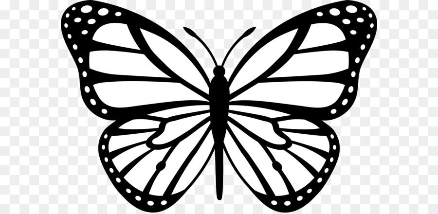 Hình png bướm trắng đen