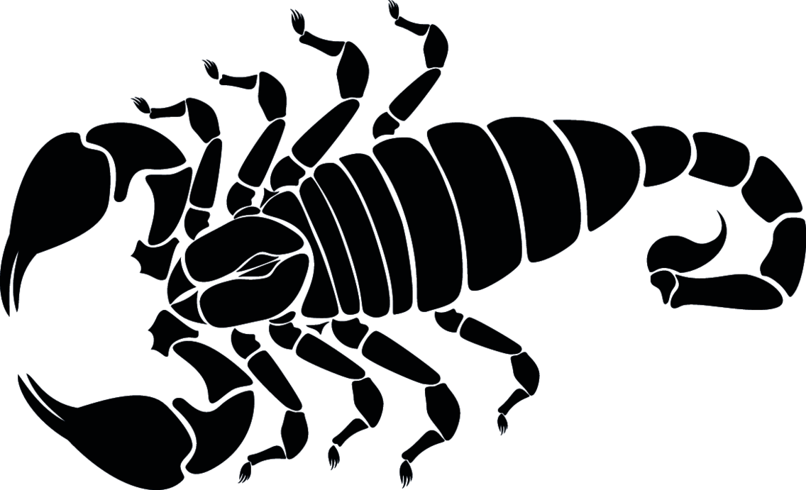 Vector bọ cạp trắng đen