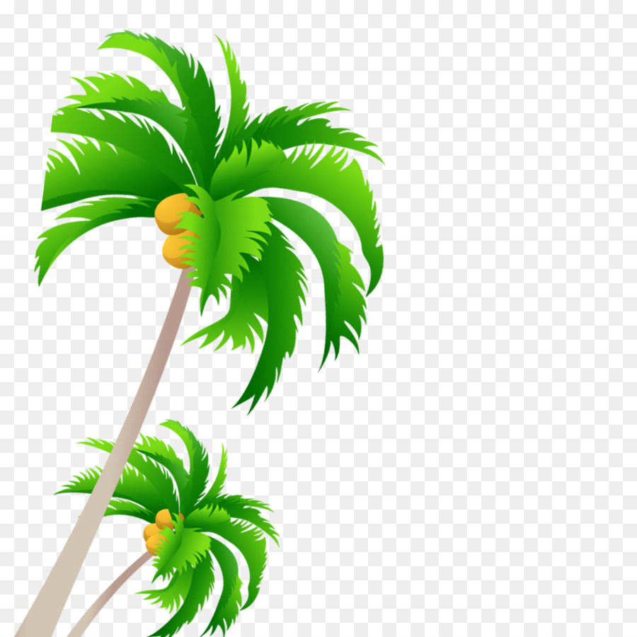 Hình png cây dừa trên bãi biển
