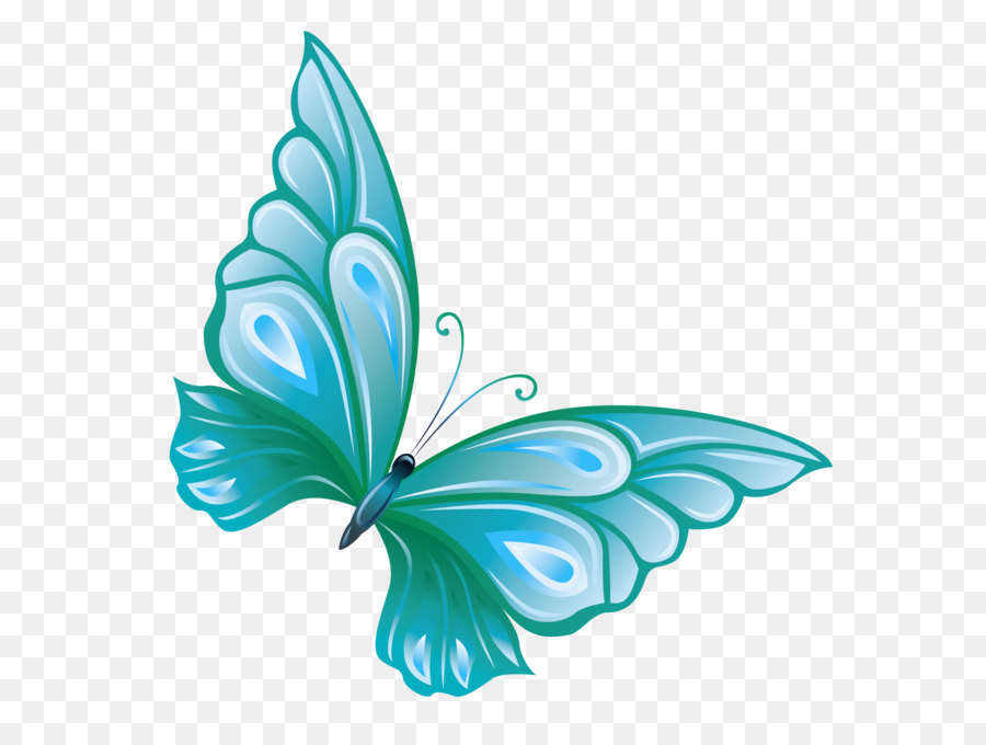 Hình png con bướm xanh