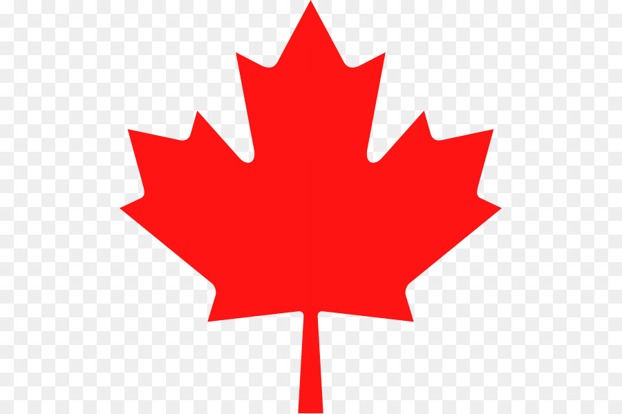 Hình png biểu tượng lá phong Canada