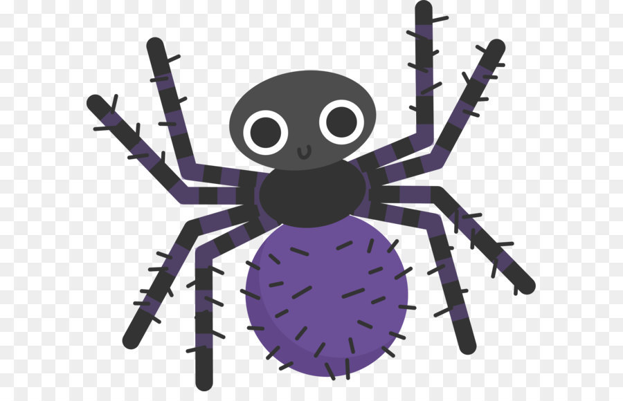 Con nhện bụng màu tím