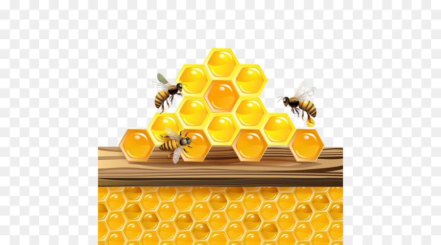 Tổ ong trang trí