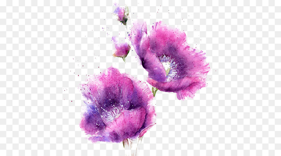 Hoa màu nước tím