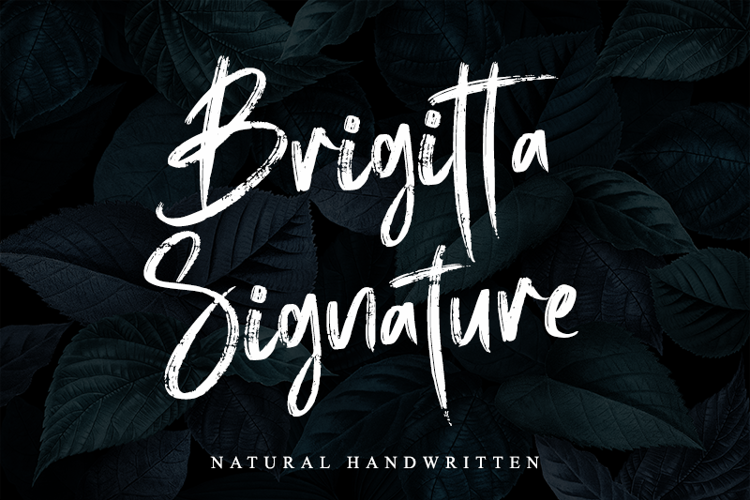 Font đám cưới brigitta signature