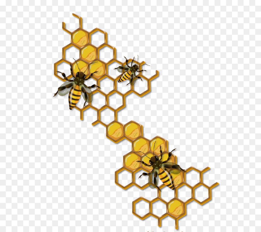Hình png ong và tổ ong