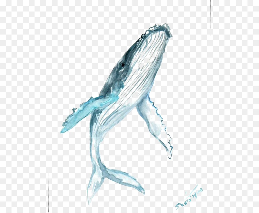 Hình png cá voi xanh