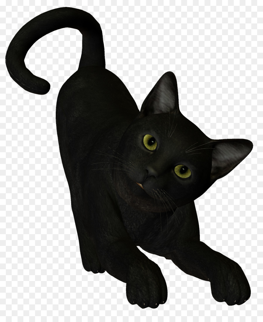 Con mèo đen đã tách nền