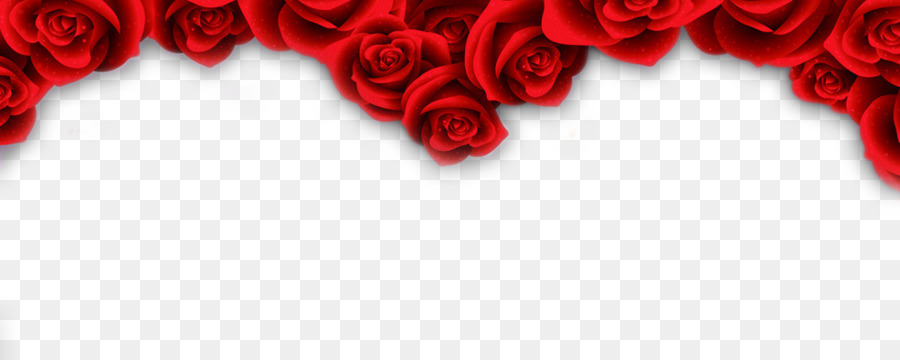Khung hình hoa hồng đỏ