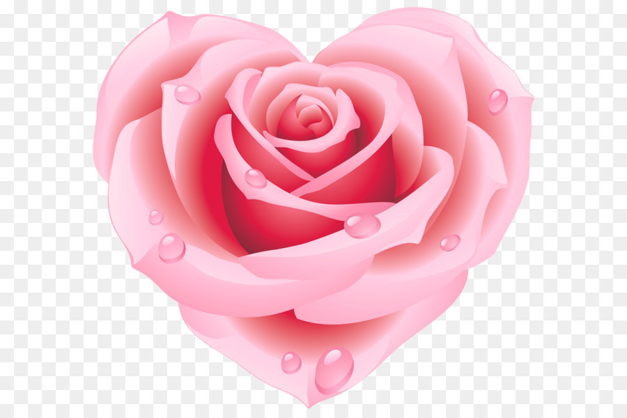 Hoa hồng hình trái tim