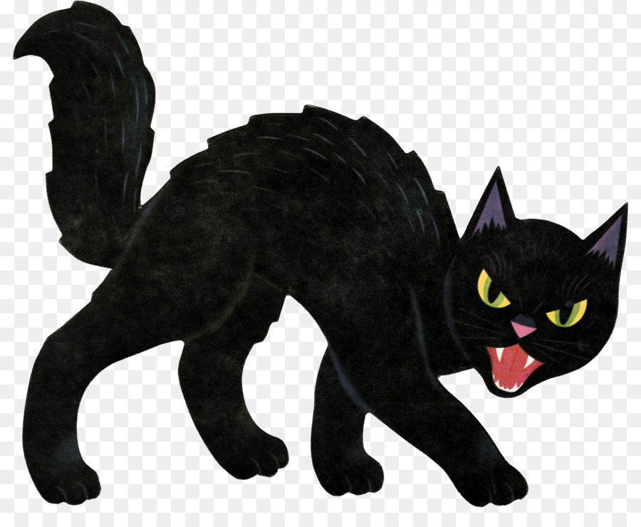 Halloween mèo đen