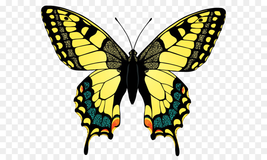Khung hình png bướm vàng