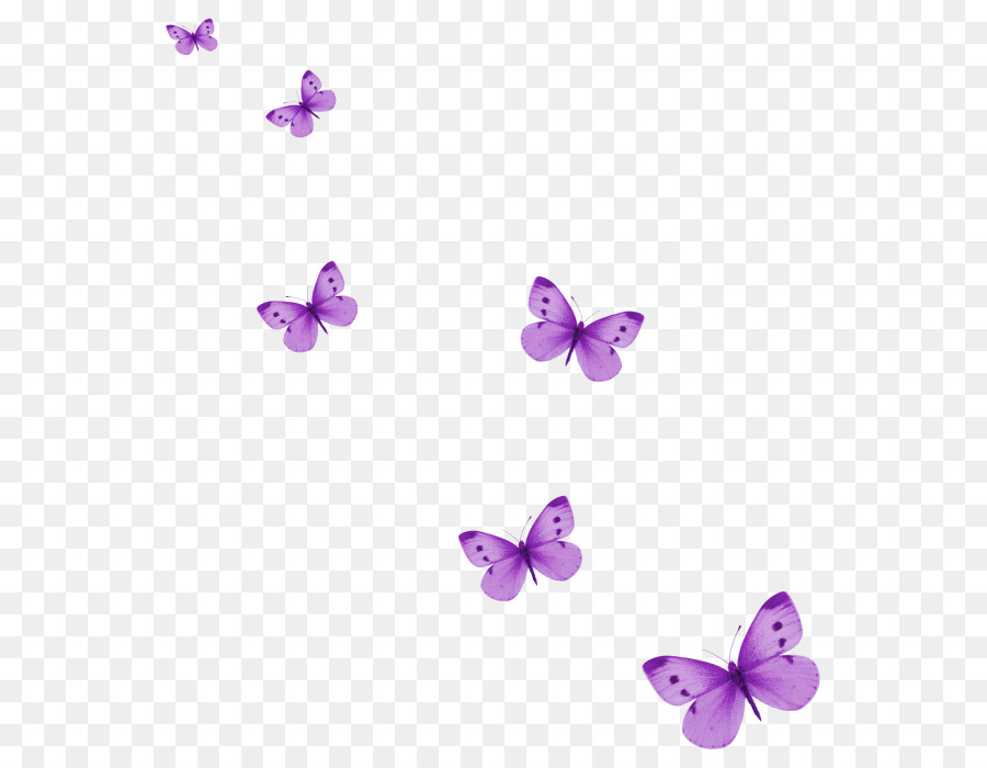 Hình png bướm màu tím