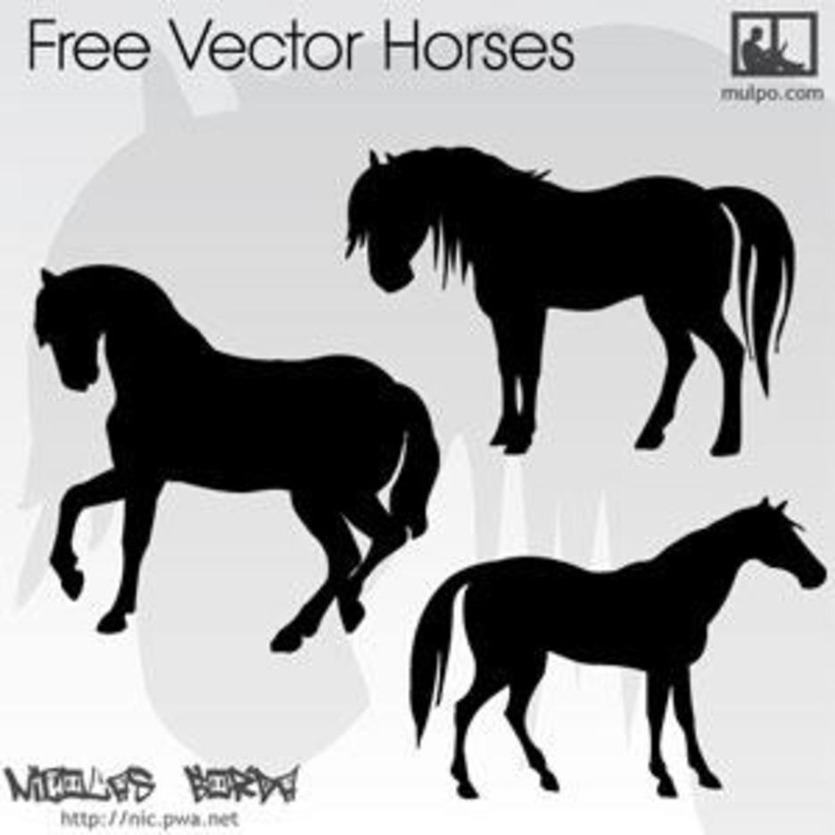 Vector ngựa trắng đen