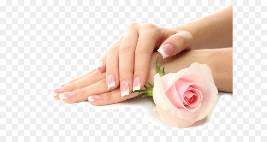 Hình png bàn tay và bông hồng