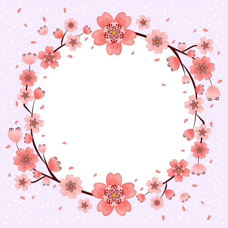 Nature cherry blossom background (vector hoa đào)
